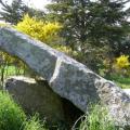 mai 2009