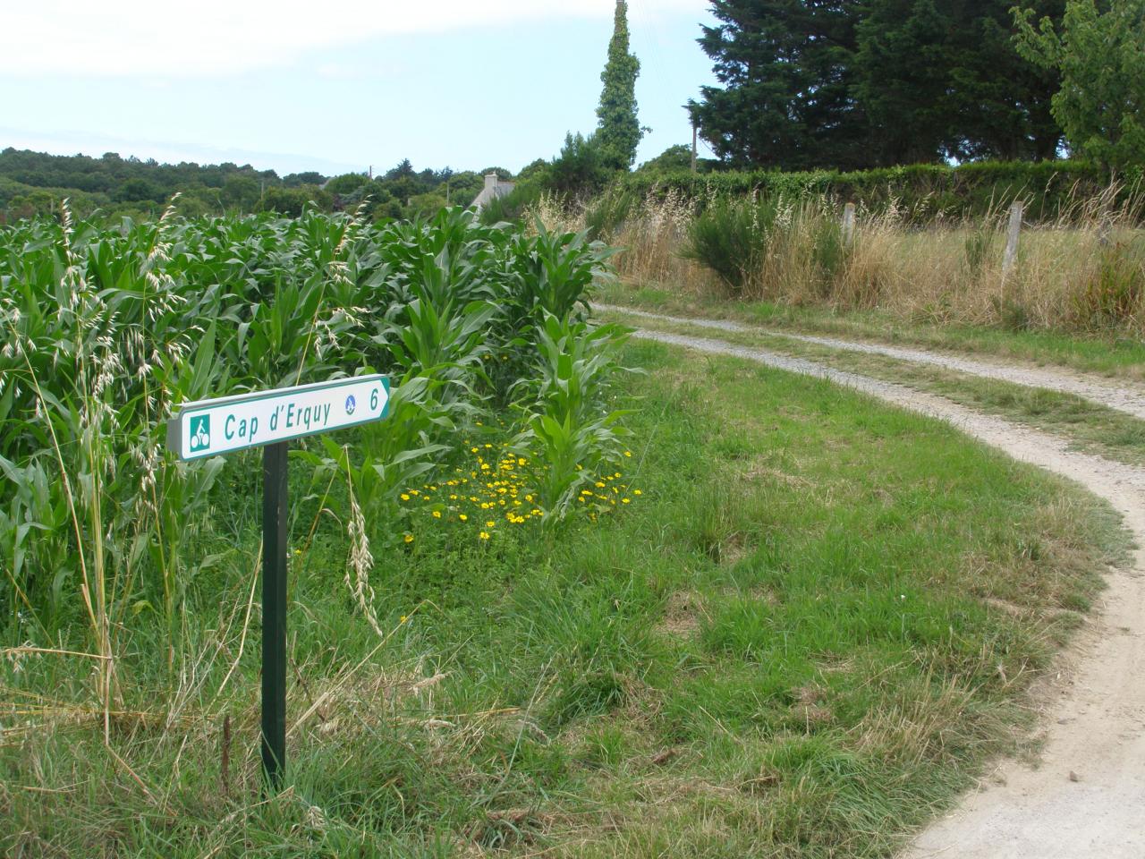 Panneau directionnel vers le Cap (dolmen à 100 m... non indiqué)